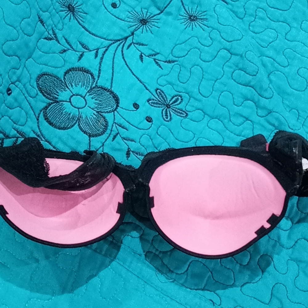 Bra - Picture 2 of 2